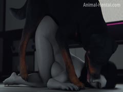 3d porn dog